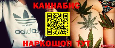 спиды Дубна
