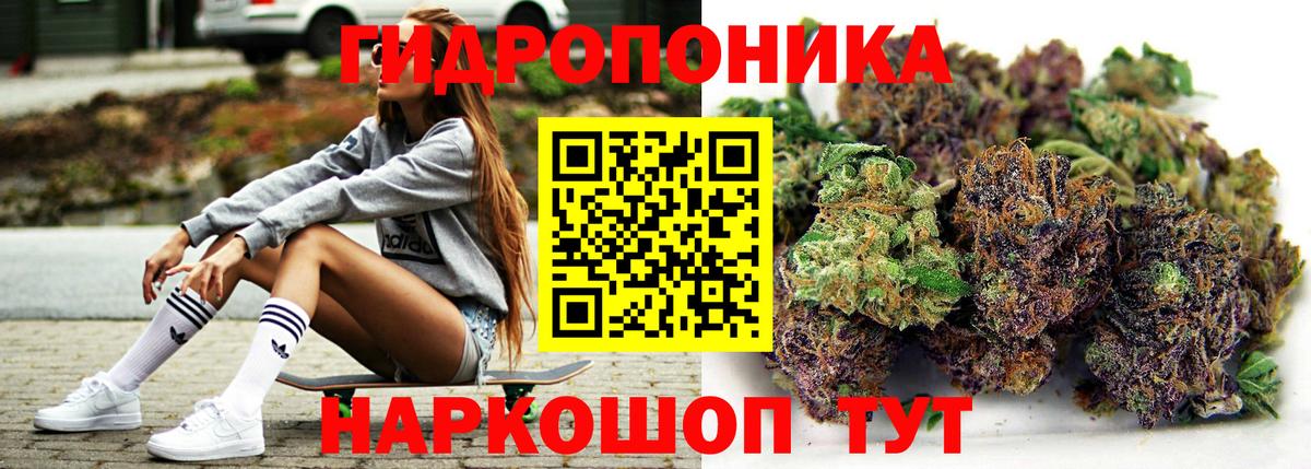 Канабис ГИДРОПОН Кузнецк